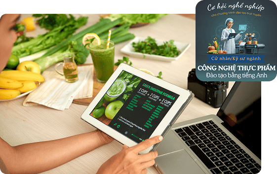 Cơ hội việc làm