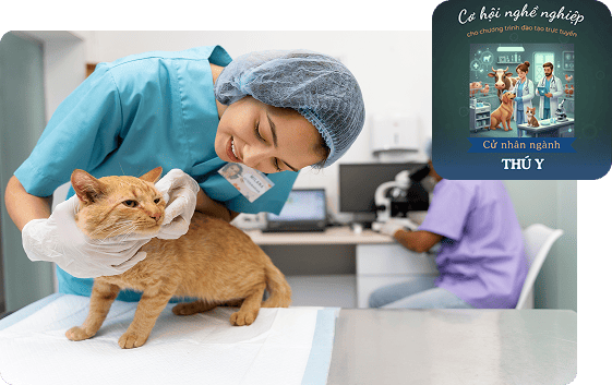 Cơ hội việc làm