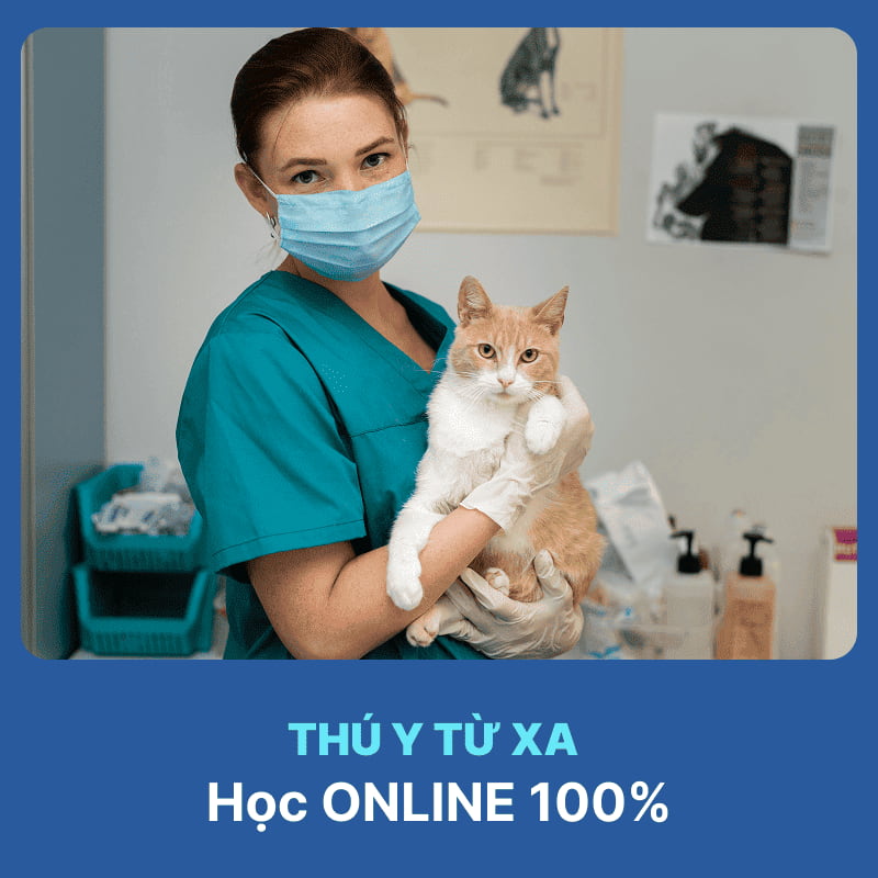 Tổng Quan Ngành Thú Y Hệ Từ Xa