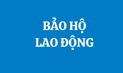 BẢO HỘ LAO ĐỘNG