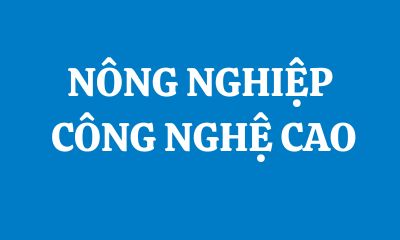 NÔNG NGHIỆP CÔNG NGHỆ CAO