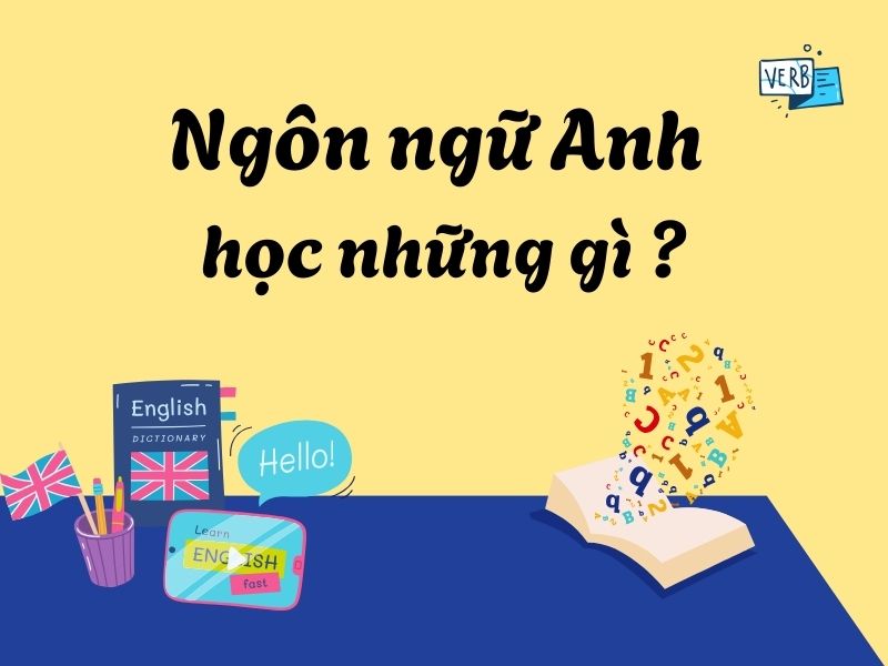 Ngành Ngôn ngữ Anh học những gì? Lộ trình học & kiến thức cần nắm rõ
