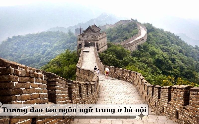 Trường đào tạo Ngôn ngữ Trung ở Hà Nội năm 2026 – Nên chọn hướng nào phù hợp?